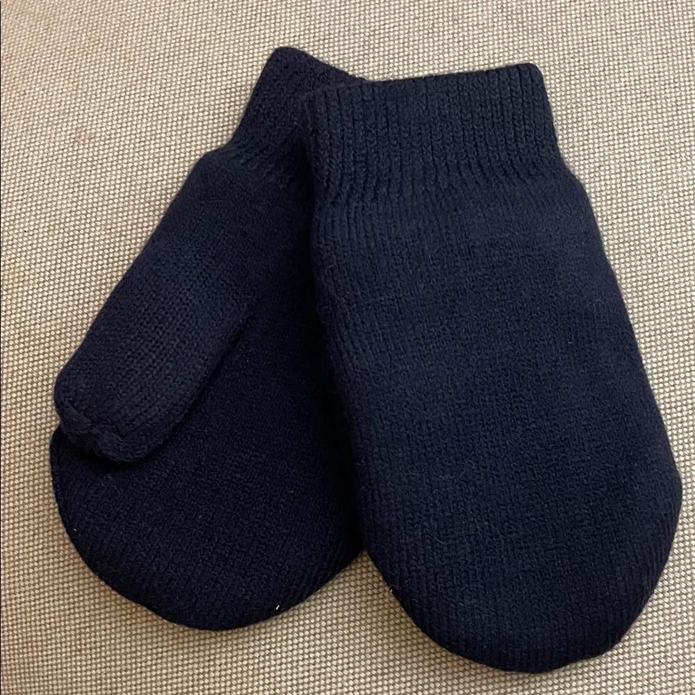 Primary Knit Mittens